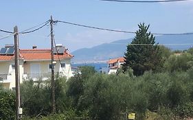 Messinian Breeze